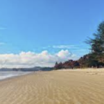 Orewa Beach 2 Orewa Beach 2