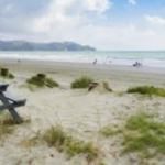Orewa Beach life 5 Orewa Beach life 5