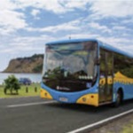 Orewa buses Orewa buses