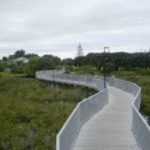 Orewa cycleway 2 Orewa cycleway 2