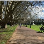 Vic Park 5 Vic Park 5