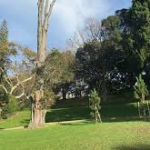 Western Park 2 Western Park 2